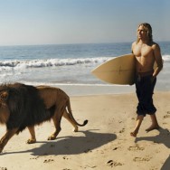Lusty Lions
