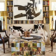 Darling Dransfield and Ross for Tozai
