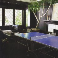 Ping Pong Pads…