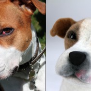 Sublime Shelter Pups