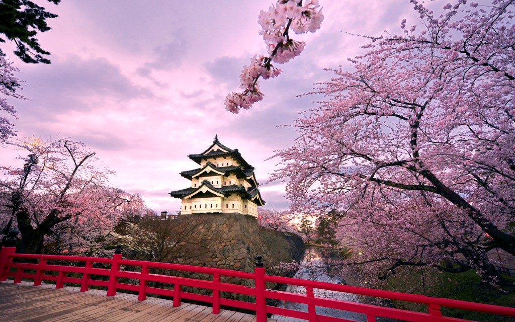 ????? (Hirosaki Castle and cherry blossoms)