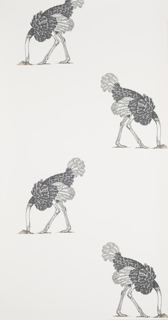 Beware Of The Moon Ostrich Wallpaper The English Room Ostrich-Large-Pencil-on-Bone-Collection-Image - Beware Of The Moon Ostrich Wallpaper The English Room
