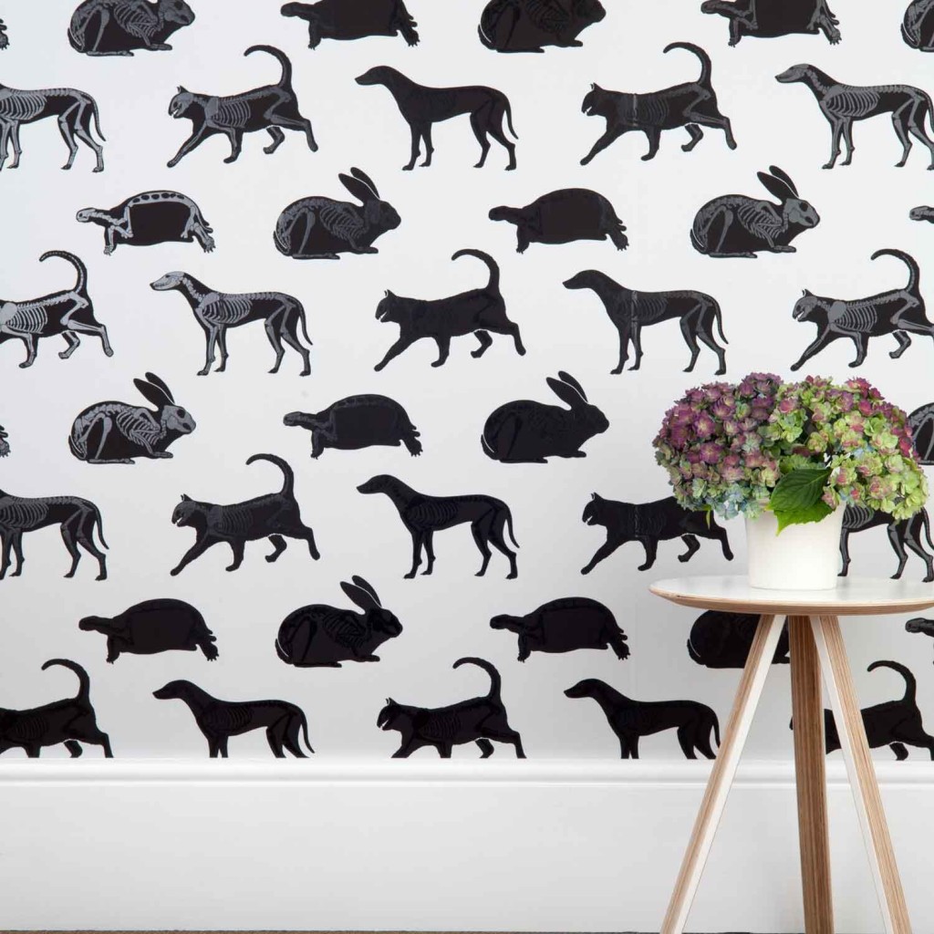 animal_magic_grey_wallpaper_lifestyle