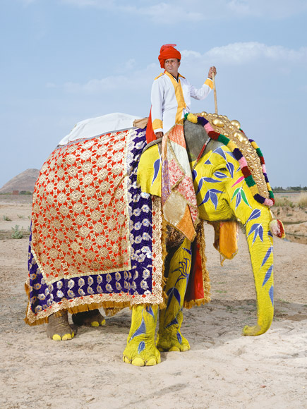 08-india-elephant-painted-yellow-blue-florets-580v