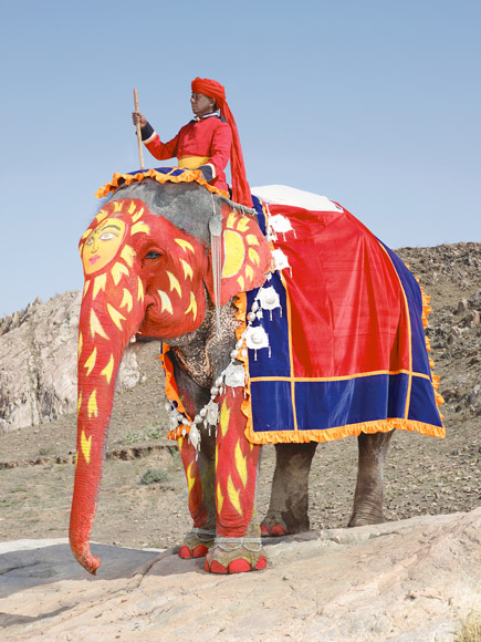09-india-elephant-painted-red-sunburst-580v