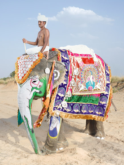 10-india-elephant-painted-white-horse-580v