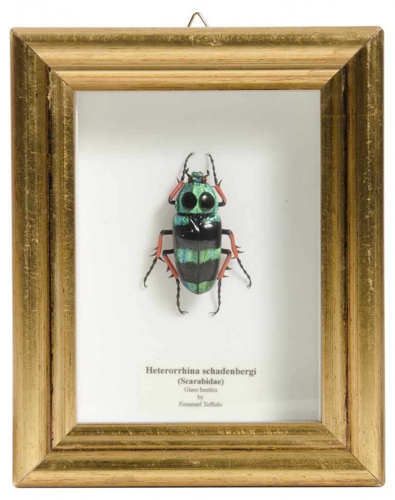Cesare Toffolo framed glass bug,  $199