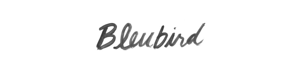 bleubirdblog_newheader