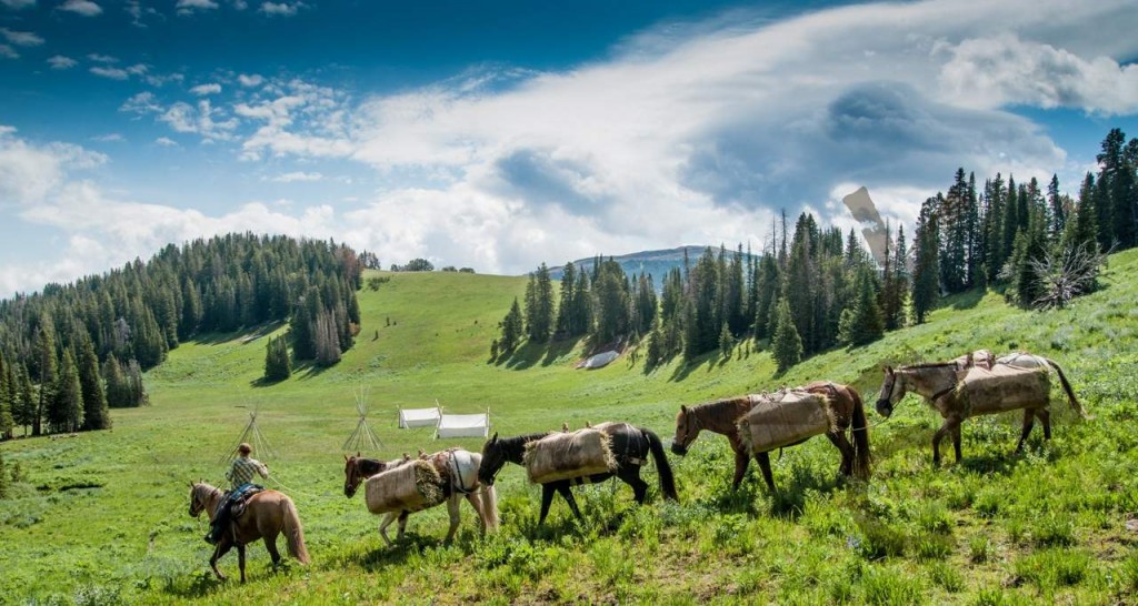 July12-192_1280_683_65_rmimgwatermark-yellowstone.png_0_0_40_r_b_-10_-10