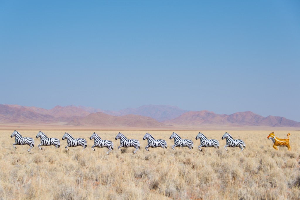 black_and_white_zebras_and_leopard_1