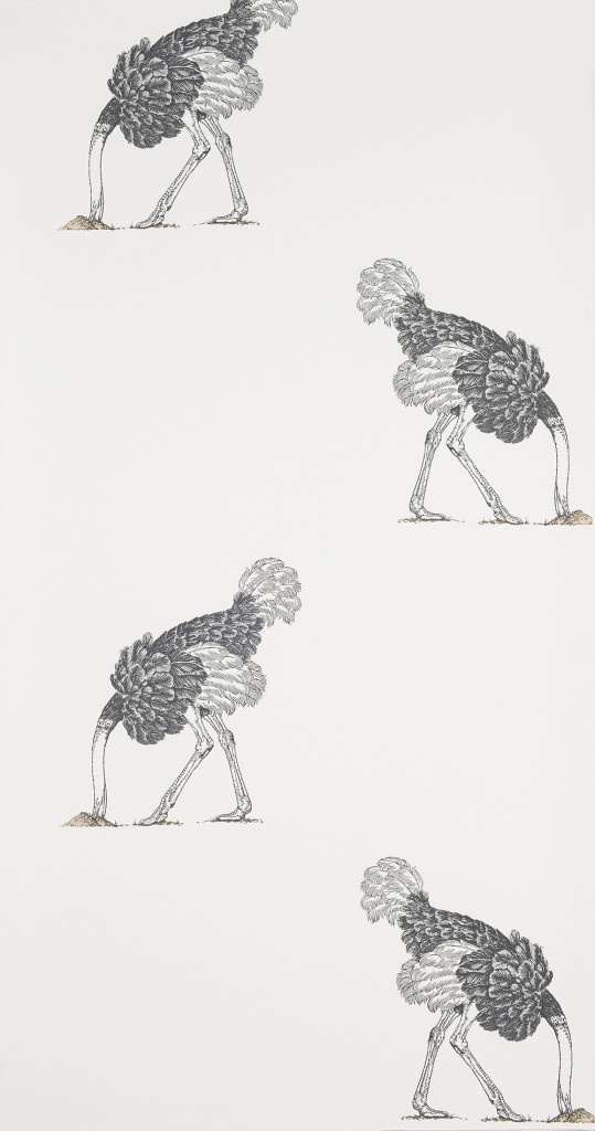 Ostrich-Large-Pencil-on-Bone-Collection-Image