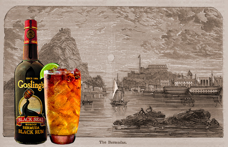 Goslings-Dark-and-Stormy