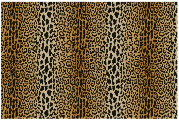 beautiful-leopard-fabric-in-dissecting-sally-wheat-s-room.jpg