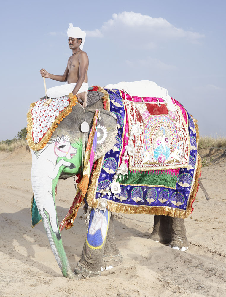 charles_freger_painted_elephant_010
