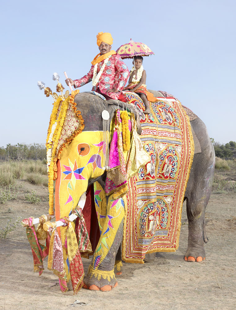 charles_freger_painted_elephant_018