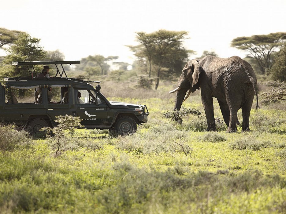 5589a23e3a5d79a77fccf5cf_15-safari-tanzania-serengeti-under-canvas-1