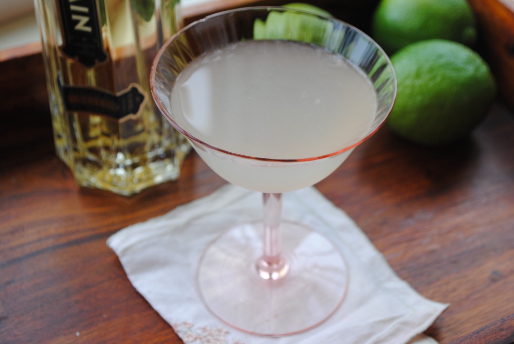 french-gimlet-with-st-germain-e1327608215315