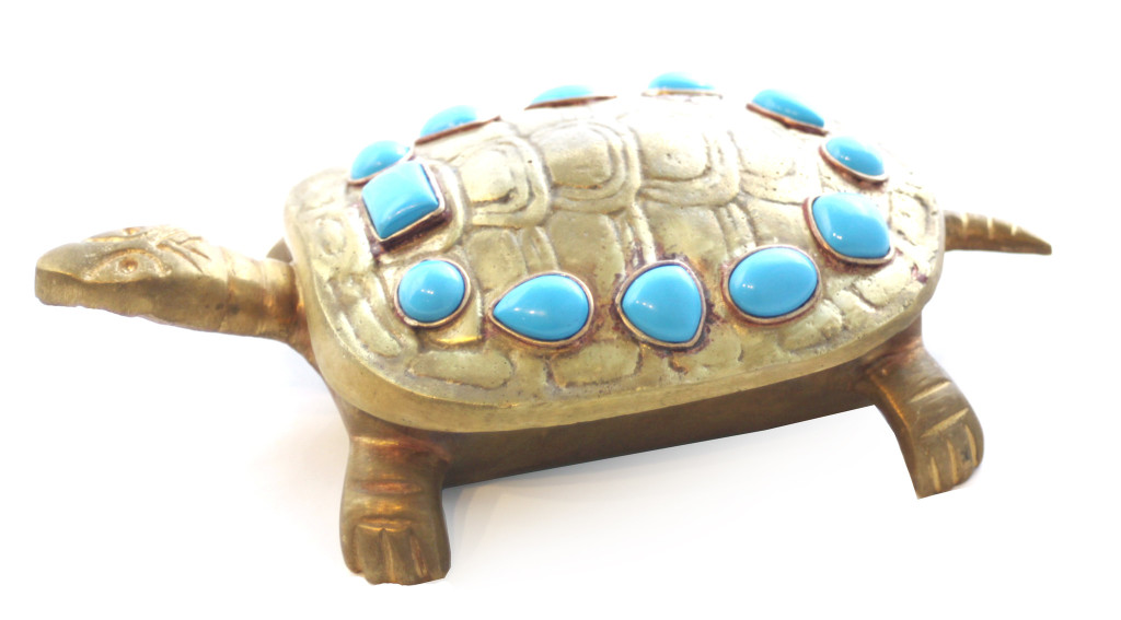 turtle_blueturquoise