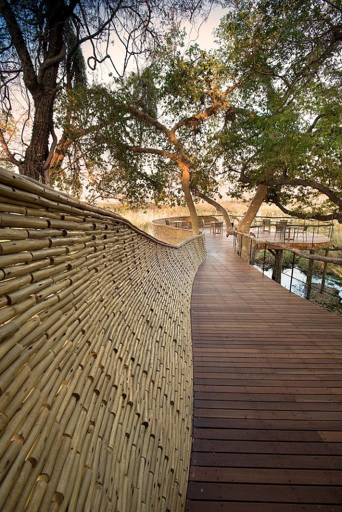 thumbs_2882-path-sandibe-okavango-safari-lodge-fox-browne-creative-michaelis-boyd-refer-0715.jpg.0x1064_q90_crop_sharpen