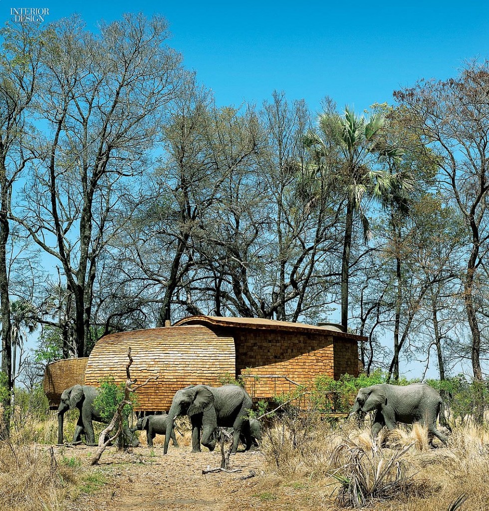thumbs_60125-elephants-exterior-sandibe-okavango-safari-lodge-fox-browne-creative-michaelis-boyd-0715.jpg.0x1064_q90_crop_sharpen
