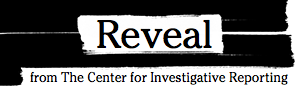 reveal-logo
