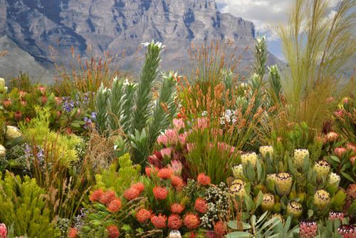 ac72a88ceaf5836778891678f2b20789