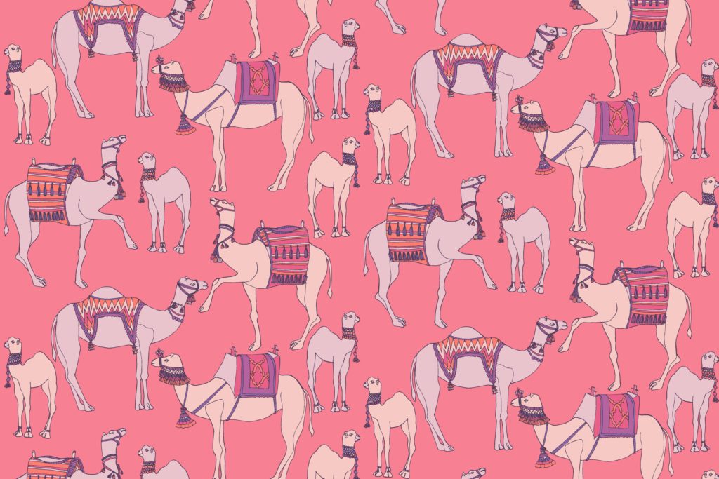 Camels