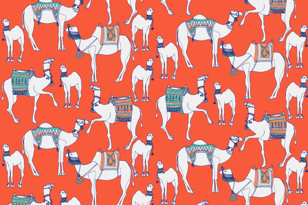 Camels_Firenze