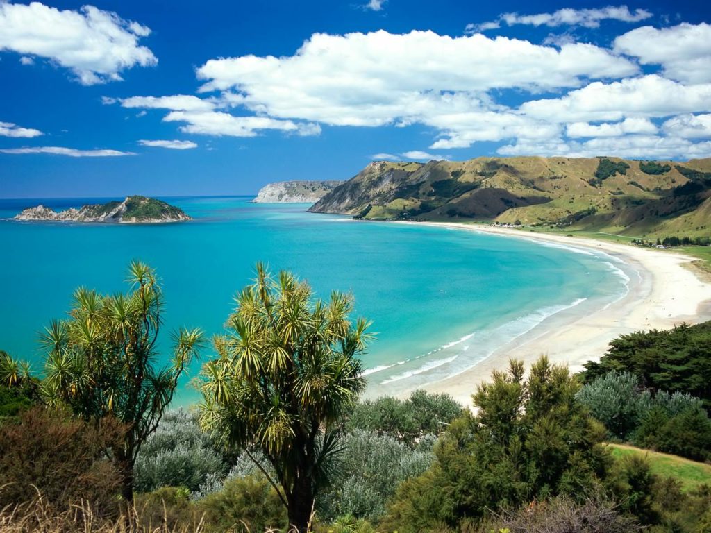 new-zealand-beach