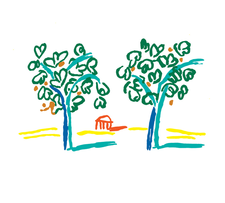 MM_Sicily_fig+trees