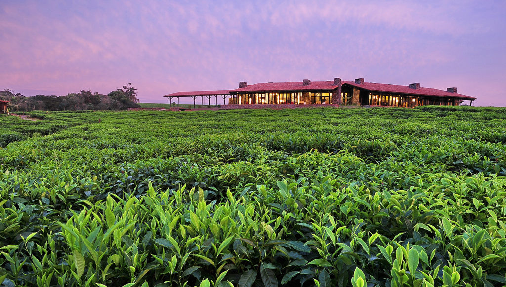 Nyungwe Forest Lodge Interiors